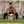 Hanif Hanif