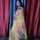 Anjali mehta