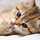 naura fathiahaq