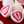 hdo111 hdo111