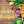Sheki's Recipes