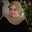cindy shierly
