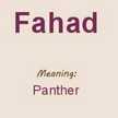 Fahad Rahman