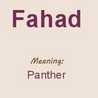 Fahad Rahman