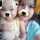 anh_thu8102004 anh_thu8102004