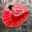 Gayathri Vijay Anand