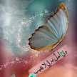 ام احمد وحازم