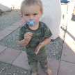 Carebear