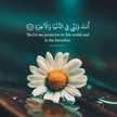 🌹Maram🌹Um sanad🌹
