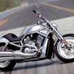 Bhavin 