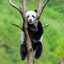 Agustri Dewi