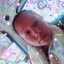 Lola Acinorev CT