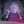 Madame Mim