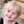 Phyllis Haynes Gerber Phyllis Haynes Gerber