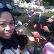 Ani Berau