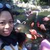 Ani Berau Ani Berau