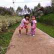 Dinning Herawati