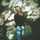 Lore Andres