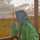 Nur Hidayah Nur Hidayah