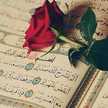 ام محمود