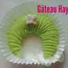 hayet houta