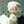 Rahaf AL Barghothi