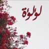 مطبخ اللؤلؤه