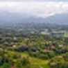 Chrissammy.