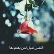 ميار القمر