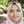 Annisa Lestari Annisa Lestari
