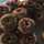 Cookie Cookie