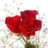 Ashi Waseem