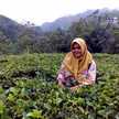 Annisa Fatihati