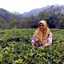 Annisa Fatihati