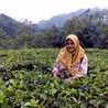 Annisa Fatihati