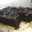 Lucy Chen Lucy Chen