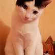 Katia#Mimi