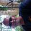 Matthew Graham