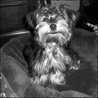 Spudley