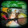 Dapur Beginners (Ayu Indra Jaya)