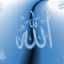 خادمة فاطمة الزهراء 