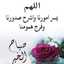 زهرة الربيع 