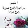 زهرة الربيع 