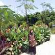 putry vibry