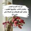 عابدة الرحمن