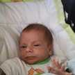 leopoldo perez lloveras