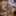 SanChef_21 SanChef_21