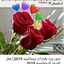 نيفين أحمد قاسم