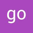 go gi