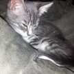 WonderMomma1984